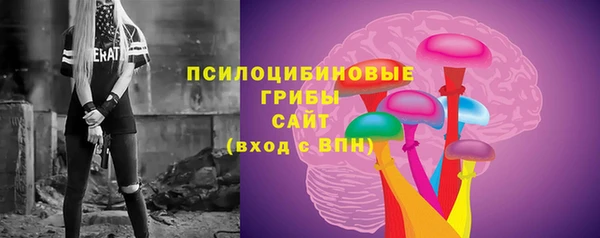 PSILOCYBIN Волосово